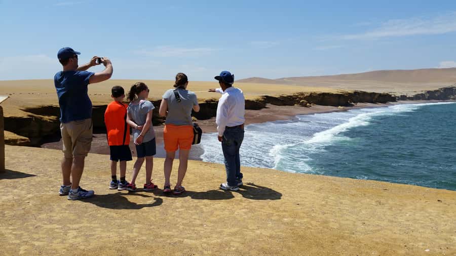 Paracas: Ballestas Island & Nature Reserve all inclusive - Key points to know before booking