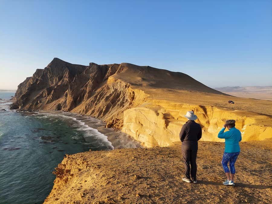 Paracas: Ballestas Island & Nature Reserve all inclusive - Why the Ballestas and Paracas pairing works