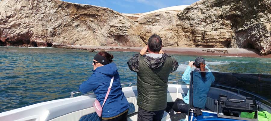 Paracas: Ballestas Island & Nature Reserve all inclusive - Ballestas Island: sea lions, birds, and penguins