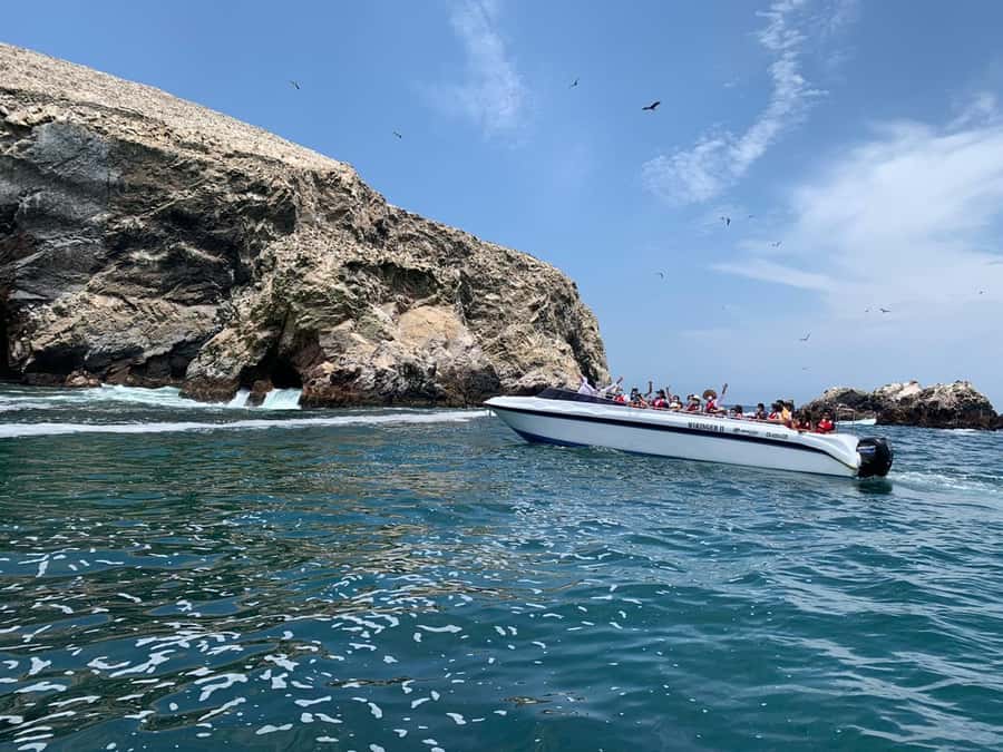 Paracas: Ballestas Island & Nature Reserve all inclusive - Playa Roja and the reserve’s unusual colors