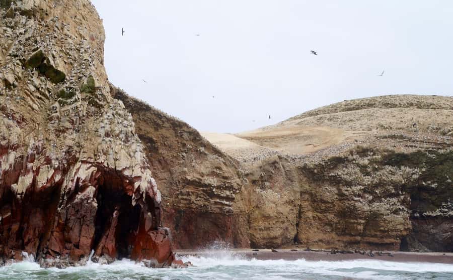 Paracas: Ballestas Islands and Candelabra of Paracas Boat - Why this short Paracas boat trip works so well