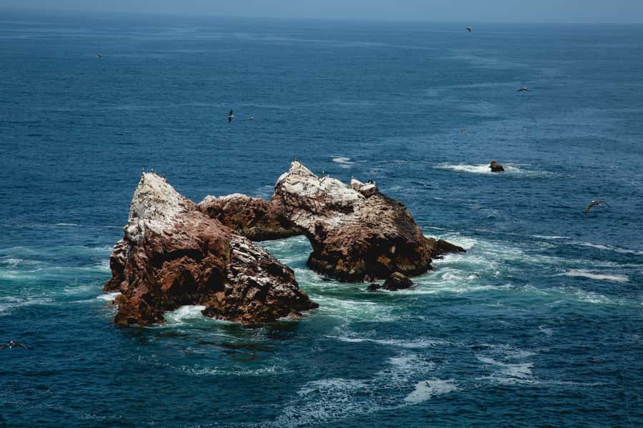 Paracas: Ballestas Islands and Candelabra of Paracas Boat - Is $25 a fair price for two hours?