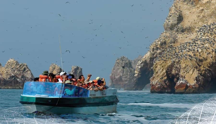Paracas: Ballestas Islands and Candelabra of Paracas Boat - Who should book this Ballestas Islands tour?