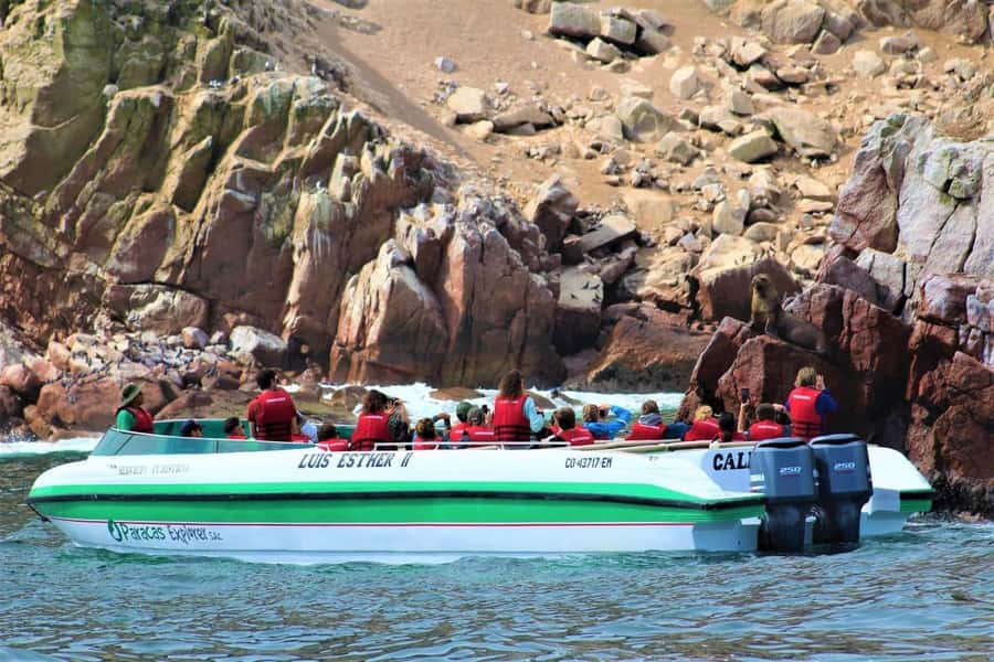 Paracas: Ballestas Islands and Candelabra of Paracas Boat - Leaving Paracas port for the Candelabra