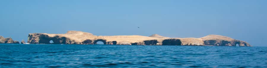 Paracas: Ballestas Islands and Candelabro Boat Tour - Key points before you book