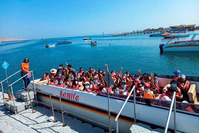 Paracas, Ballestas Islands and Huacachina Guided Tour - Ballestas Islands: wildlife from the boat