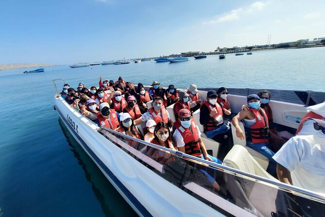 Paracas, Ballestas Islands and Huacachina Guided Tour - Pisco Nietto and the taste of Ica