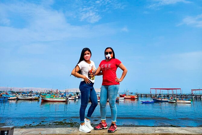Paracas, Ballestas Islands and Huacachina Guided Tour - What the $75 price really covers