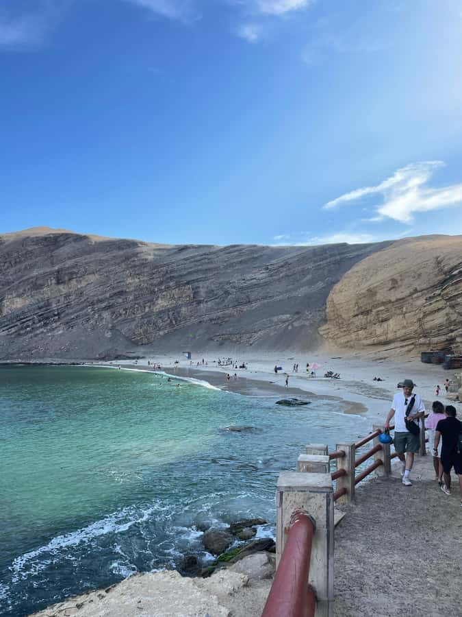 PARACAS: BALLESTAS ISLANDS AND NATIONAL RESERVE - 11:00 a.m. through Paracas National Reserve