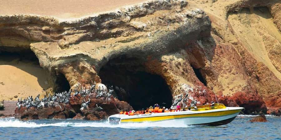 Paracas: Ballestas Islands Boat tour - Islas Ballestas - The Candelabro: Peru’s coastal mystery
