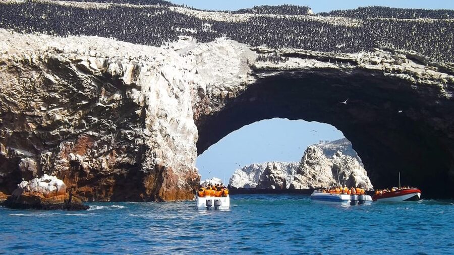 Paracas: Ballestas Islands Boat tour - Islas Ballestas - Watching sea lions, penguins, and seabirds