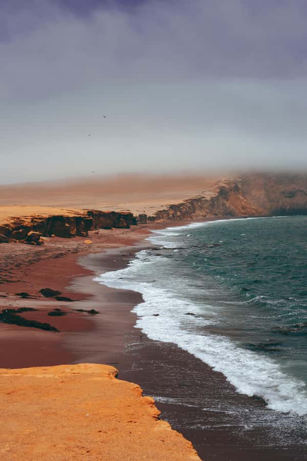 Paracas: Ballestas Islands Boat tour - Islas Ballestas - Meeting the boat at El Chaco Pier