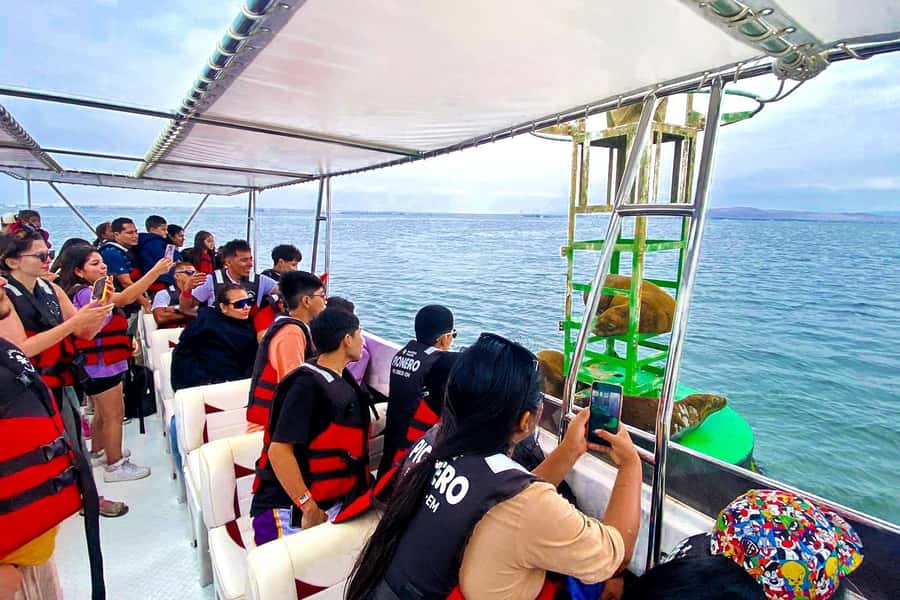 Paracas: Ballestas Islands Guided Boat Tour - What to bring for a better ride