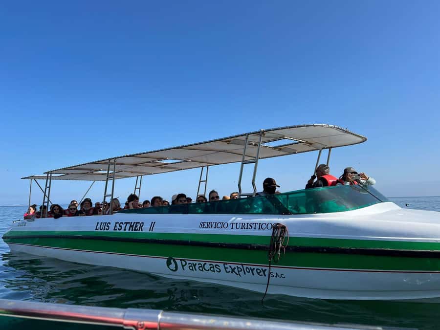 Paracas: Ballestas Islands Guided Boat Tour - Why the Ballestas Islands are worth your morning