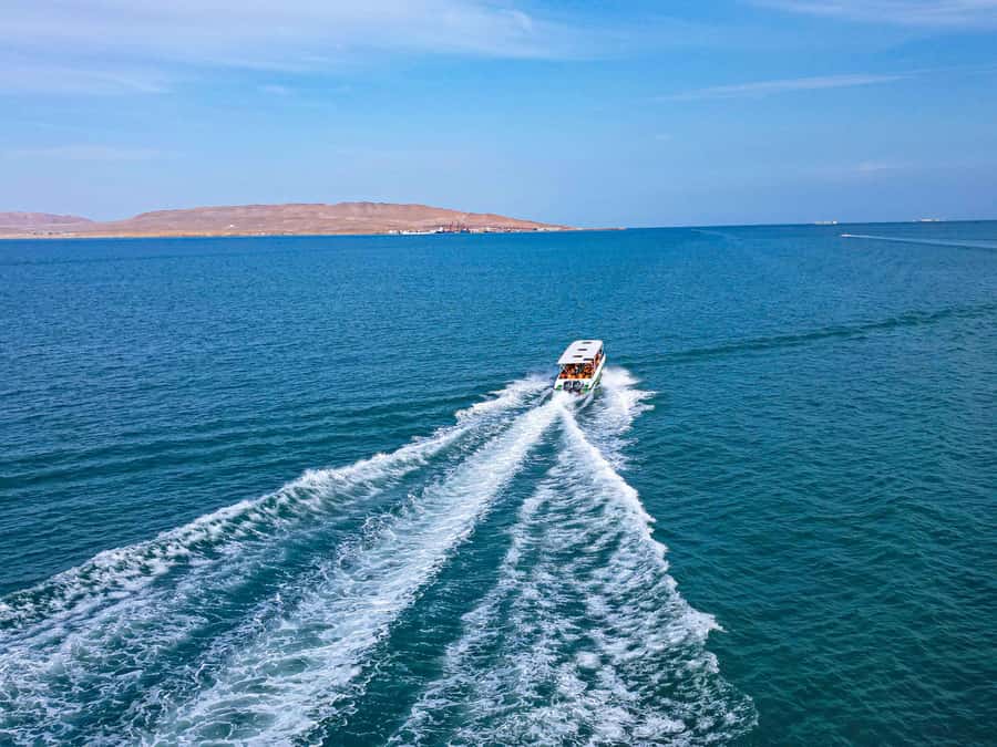 Paracas: Ballestas Islands Guided Boat Tour - The speedboat ride across Paracas Bay