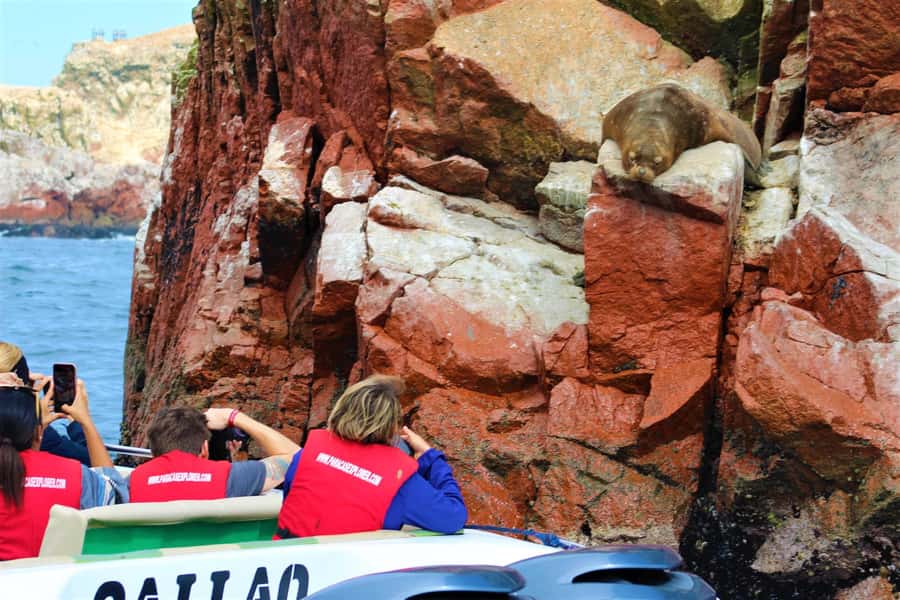 Paracas: Ballestas Islands Guided Boat Tour - Getting to the port in Paracas