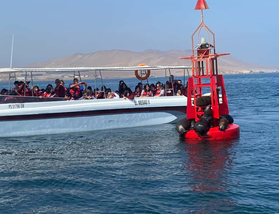 Paracas: Ballestas Islands Morning Boat Tour - Twenty minutes to the Ballestas Islands