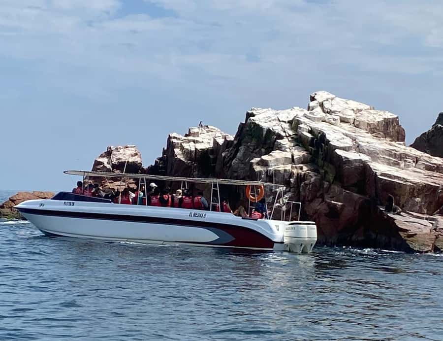 Paracas: Ballestas Islands Morning Boat Tour - Comfort, safety, and access