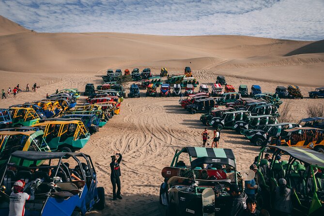 Paracas, Huacachina and Sunset Tour at the Oasis - From Paracas to Ica and the Cultur Pisco winery
