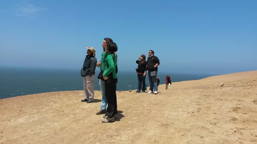 Paracas:Private Tours Paracas National Reserve all inclusive - What the guide adds to the experience