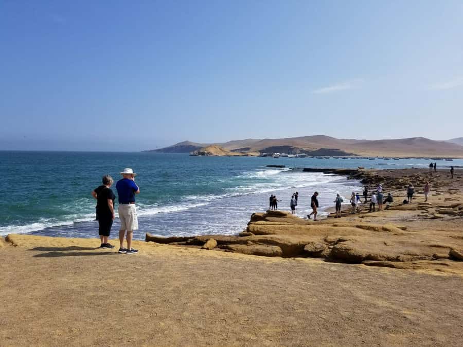 Paracas:Private Tours Paracas National Reserve all inclusive - A short walk for flamingos and coastal birds