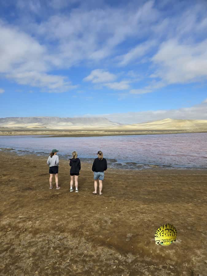 Paracas:Private Tours Paracas National Reserve all inclusive - A private Jeep ride from your Paracas hotel