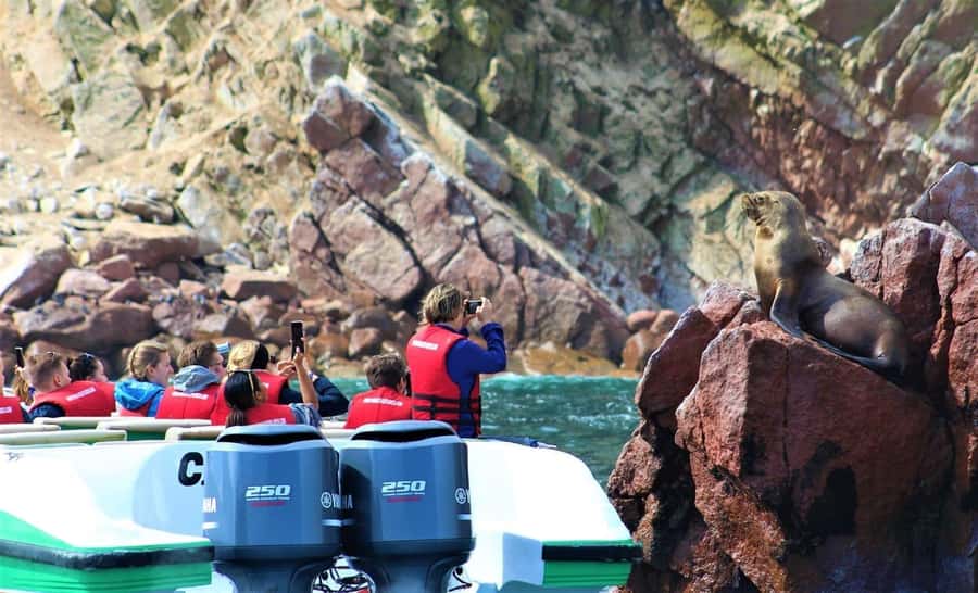 Paracas: speedboat BALLESTAS ISLANDS TOUR - Key points before you book