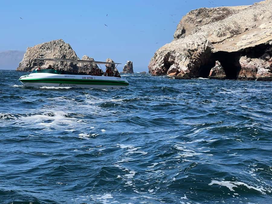 Paracas: speedboat BALLESTAS ISLANDS TOUR - Why the Ballestas Islands are worth your morning