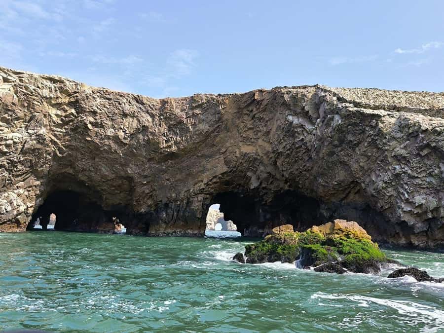 Paracas: speedboat BALLESTAS ISLANDS TOUR - Birds, penguins, dolphins, and sea lions
