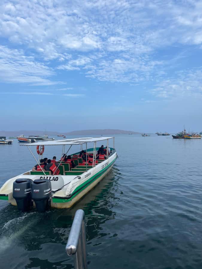 Paracas: speedboat BALLESTAS ISLANDS TOUR - How much time do you really get?