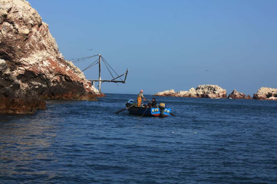 Paracas: speedboat BALLESTAS ISLANDS TOUR - The real cost of an $18 ticket