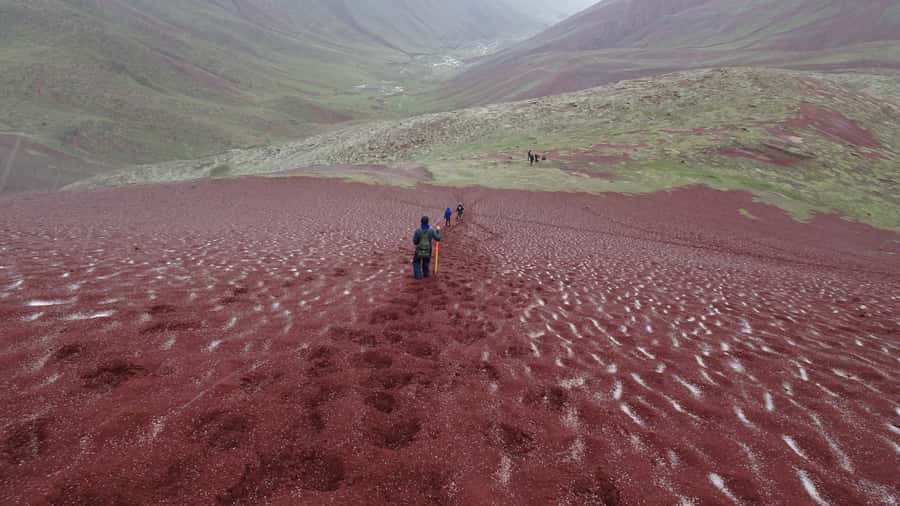 Peru: Rainbow Mountain and Red Valley View Point Tour - Should you book this tour?