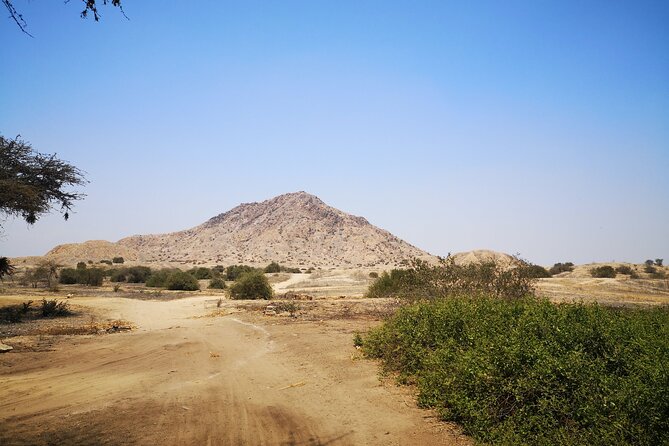 Piramids of Tucume Tour, Sican Museum and Lambayeque city tour - Should you book it?