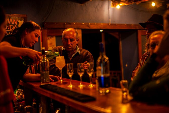 Pisco Sour Secrets: Hands-On Mixology in Historic Cusco - Who will enjoy this experience most?