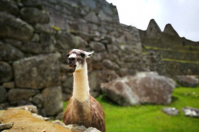 Private 2-Day Machu Picchu Tour with Sacred Valley Departure - The 30-minute bus ride to Machu Picchu