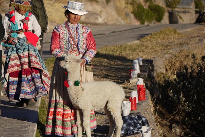 Private Colca Full-Day Tour from Arequipa - Key points to know before you book