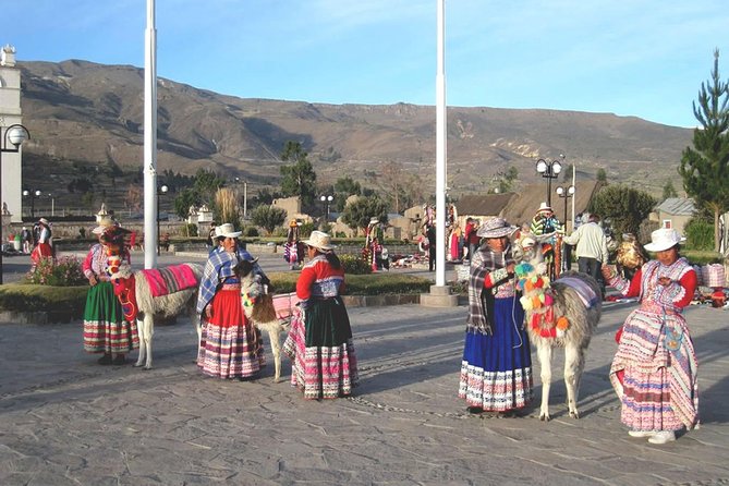 Private Colca Full-Day Tour from Arequipa - Why this private Colca day is worth considering