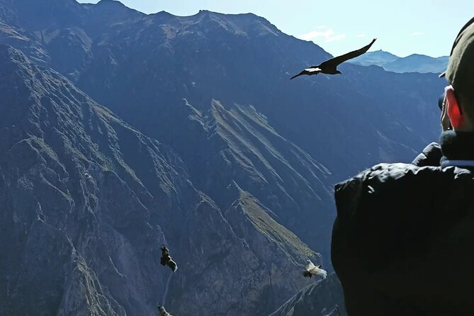 Private Colca Full-Day Tour from Arequipa - Antahuilque and the Colca Valley terraces