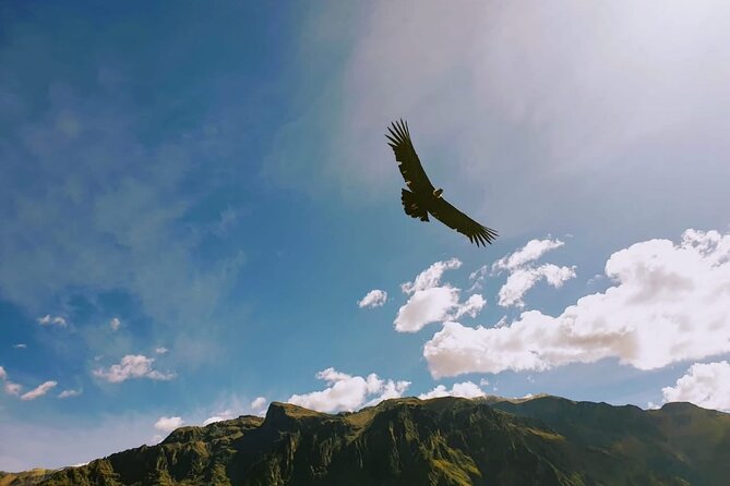Private Colca Full-Day Tour from Arequipa - The hike and what the schedule does not spell out