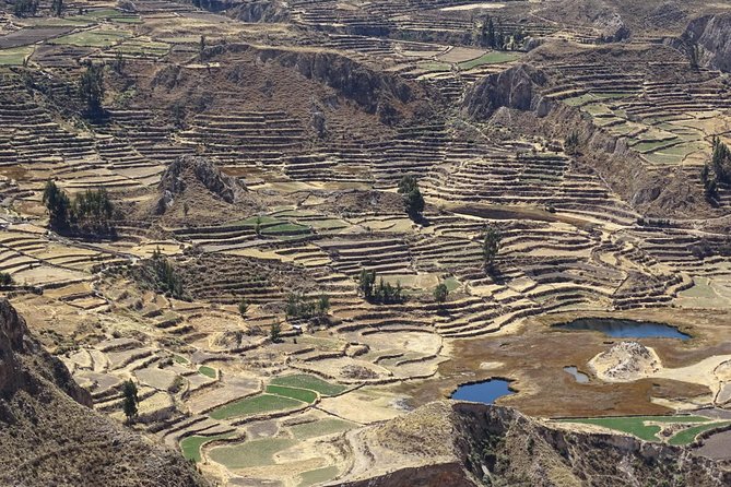 Private Colca Full-Day Tour from Arequipa - Yanque and the small-town beginning