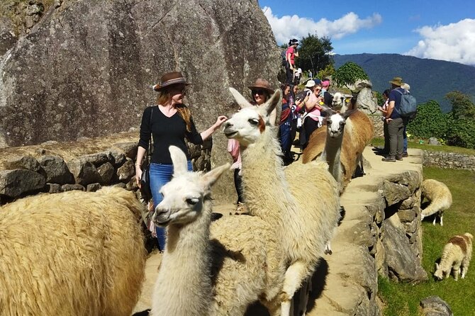 Private Day Tour to Machu Picchu - Why the private format matters on a Machu Picchu day