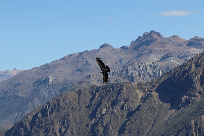 Private Full Day Tour to Colca Canyon with Breakfast - Chacapi hot springs and the optional pause