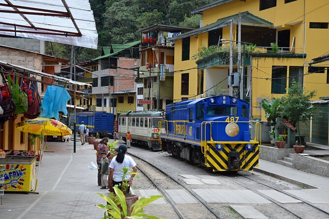 Private Luxury Machu Picchu Tour with Buffet Lunch - Buffet lunch after the citadel visit