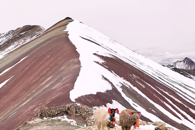 Private Mountain of Colors Tour 7 AM From Cusco - Why the 7 a.m. start can lead to a quieter viewpoint
