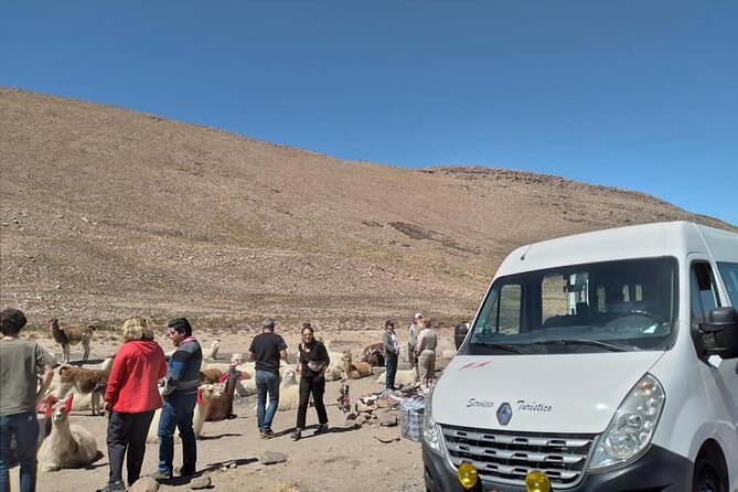 Private Round Trip Transfer to Colca Canyon from Arequipa - The $180 price and what you receive