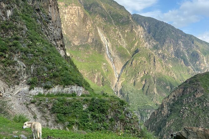 Private Tour 3 Days in the Colca Canyon with Andean Ceremony - Key points to know before booking