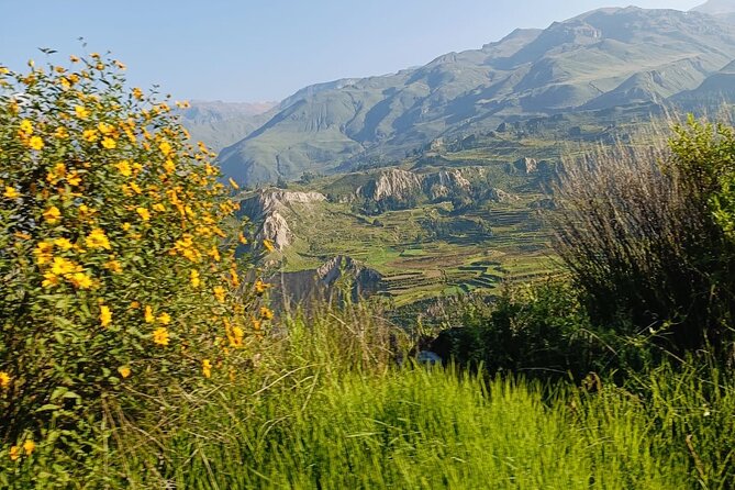 Private Tour 3 Days in the Colca Canyon with Andean Ceremony - Llahuar’s hot springs are more than a bonus