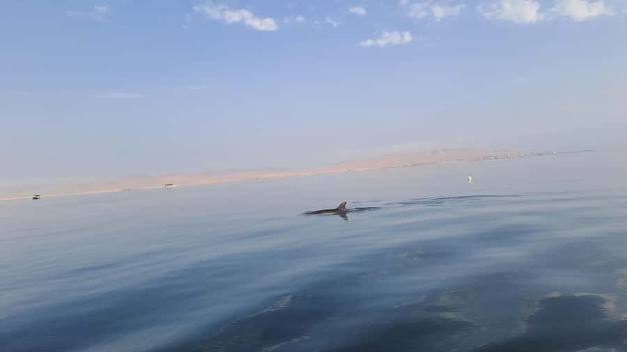 Private Tour: Ballestas Island & Huacachina Oasis, from Lima - Who should book this private Peru excursion?