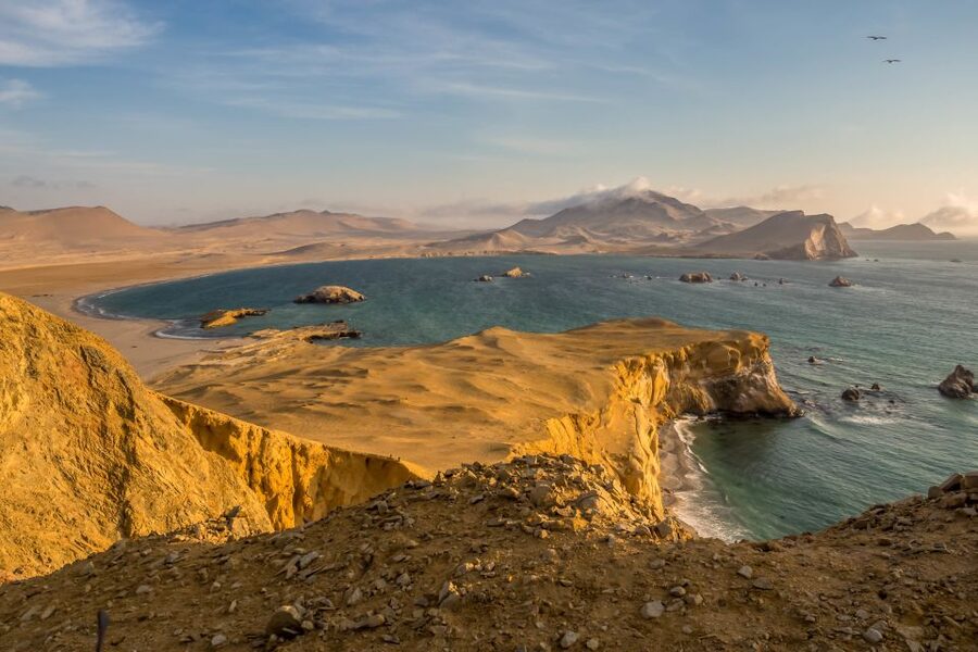 Private Tour: Ballestas Island & Huacachina Oasis, from Lima - From Paracas port to the Ica wine country