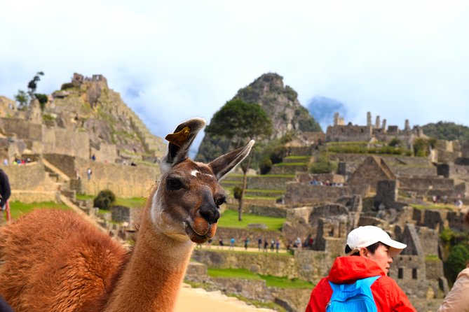 Private Tour, Full Day Machu Picchu with Lunch - Key points to know before booking